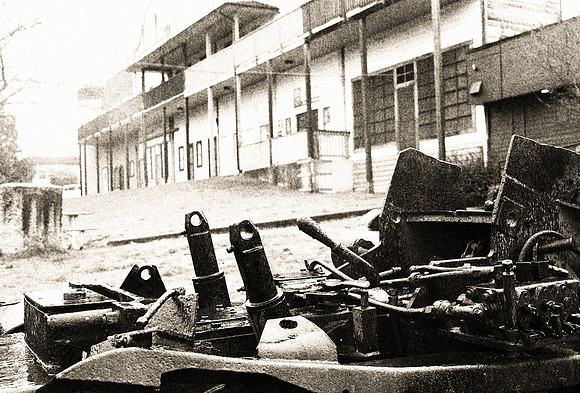 Jules Wheeler-10