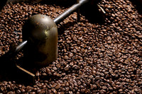 #4 Cooling the Beans - Jenny Houg