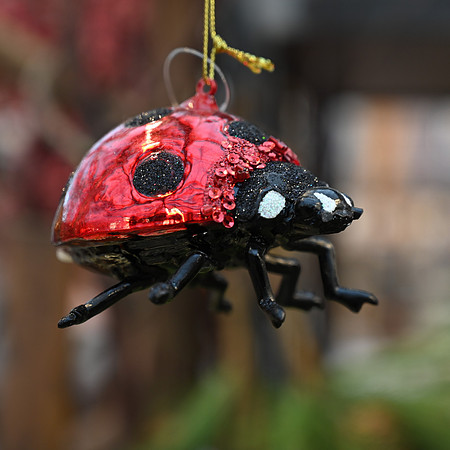 2-ornament- Julie G.jpg