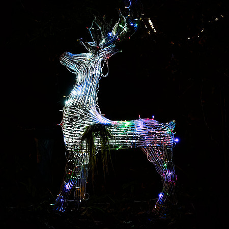 6 Deer Shaped Sean OConnell