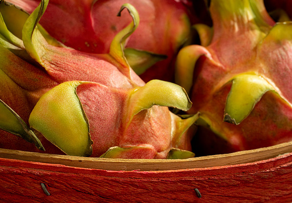 Laura Tait -Dragon Fruit