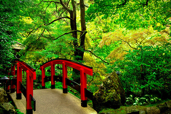 Amit Bakshi-Serene Pathway