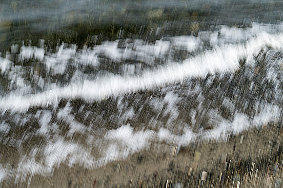 Darrell Tomkins - Intentional Camera Motion_1300495