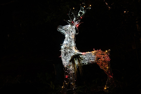 6 Reindeer Neal Erickson