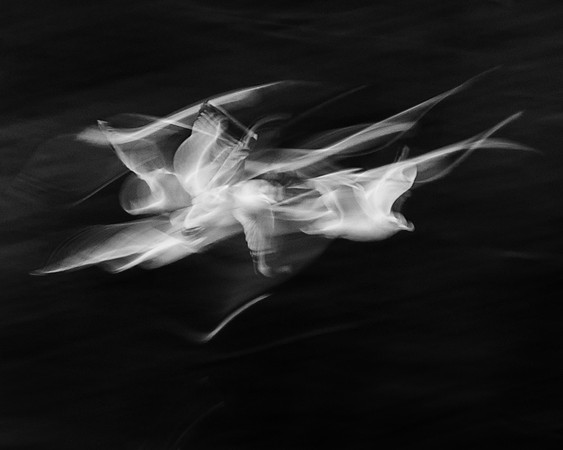 Neal Erickson-Emergence