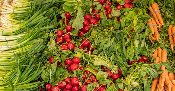 Bill Jorgensen Colourfull Veggies