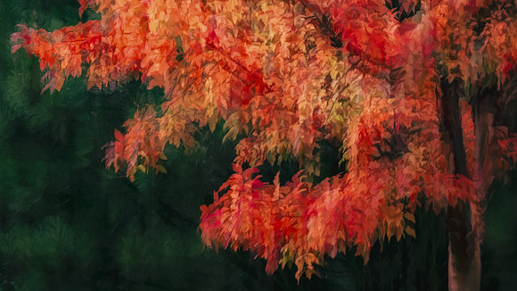 Laura Tait-Colours of Fall