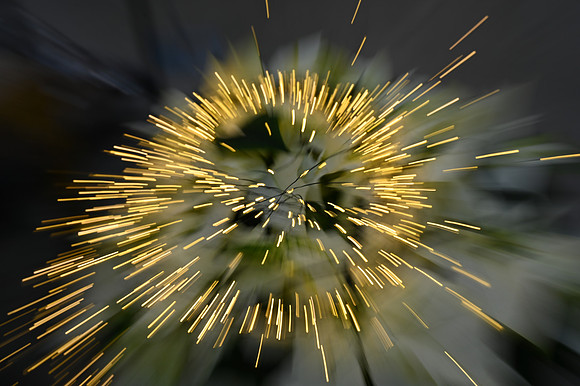 8-ICM-Julie G.jpg