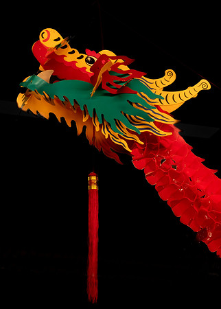Jenny Houg - Ending Year of the Dragon