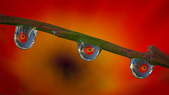 FIRST PLACE - Wink Richardson-Spring Colours