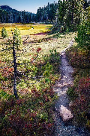 Robert Burkholder - PM Trail1