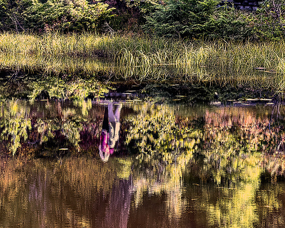 Robert Burkholder - Reflect2