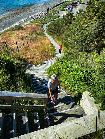 Laura Tait 3- Walk Up the Stairs