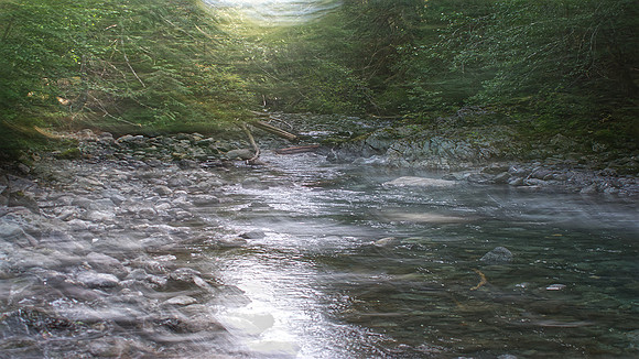 Norman-Mathew-Ralph River