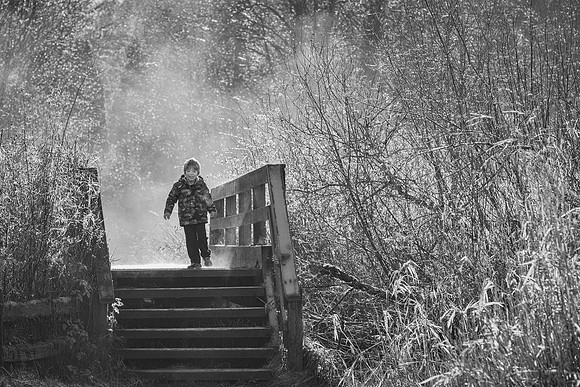 Iris Schurz-Out from the Mist