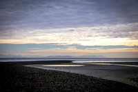 Iris Schurz- WilliamsBeach in Multiples