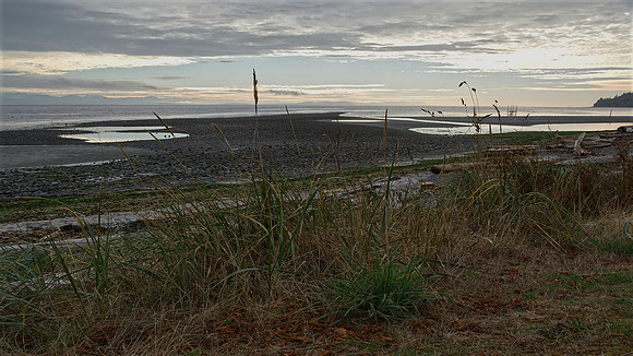 Norman Mathew - Williams Beach - 72113045
