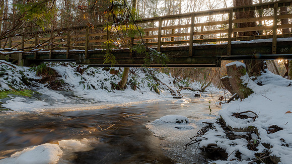 Marie MacIsaac-Conservancy Bridge