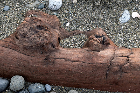 Jennifer Houg - Sculpted by Nature
