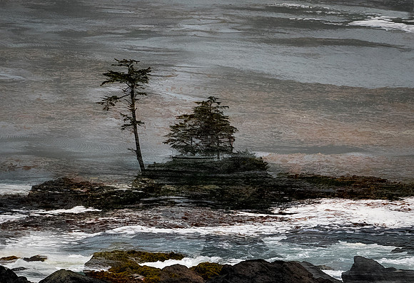 SECOND PLACE - Laura Tait-Windswept