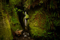 Amit Bakshi-Mystic Place
