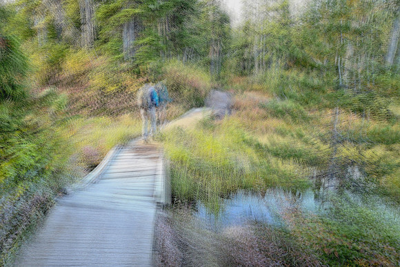 Wink Richardson-Forest Hike