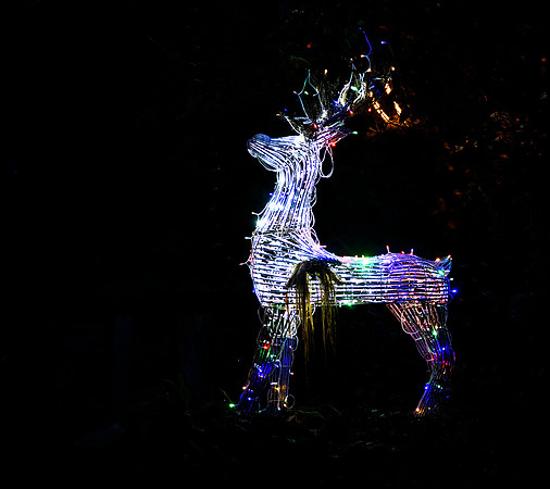 6 Deer - Bob Timbers