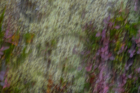 Marie MacIsaac ICM