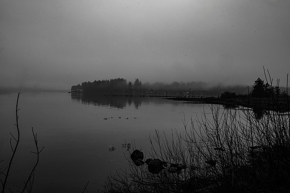 Bob Timbers-Misty Morning