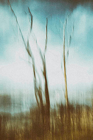 rob-lunde_icm-1_49766853136_o