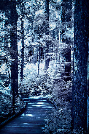 Robert Burkholder - PM Trail2