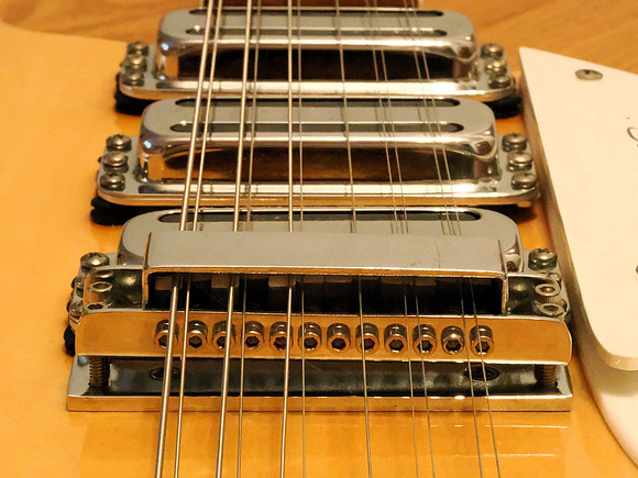 Mike Joss-Rickenbacker 11 String