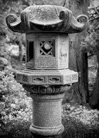 Sean O'Connell Hatley Castle (1)