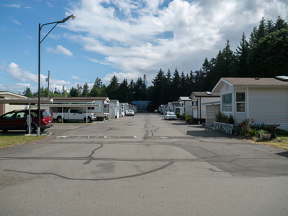 Trudy #7 The other end of the Trailer Park Where I take the photos of baby Herons by my friends home.