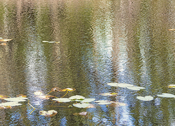 Jessica North-O'Connell Ripples and Reflections