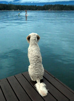 Patiently Waiting