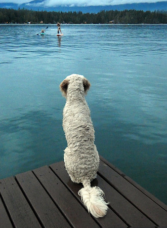 Patiently Waiting