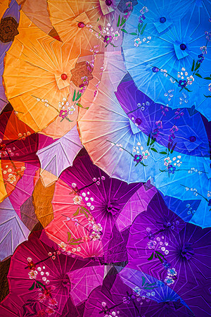 THIRD PLACE - Robert Burkholder-Parasol Parade