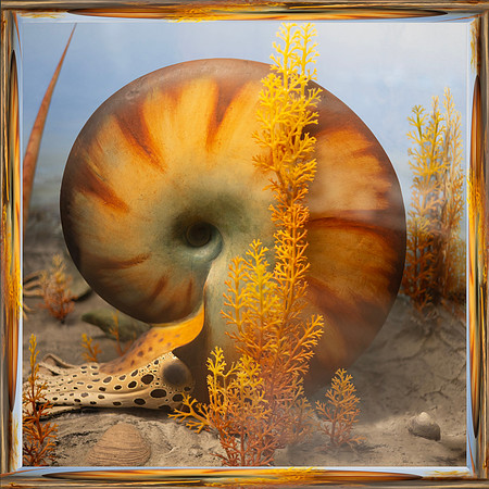 SECOND PLACE - Robert Burkholder-Age of Aquaria