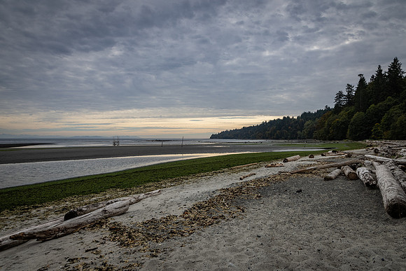 Iris Schurz- Williams Beach Deserted