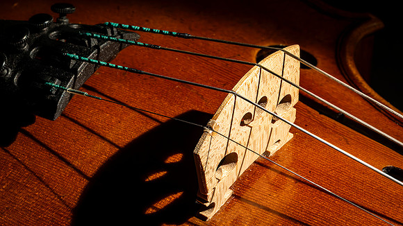 Bryan Walwork-The Violin