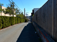 Cecile Turnbull 1 - Courtenay Alley