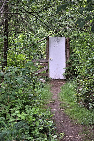 RickGafuikJ2020uneForestPath1