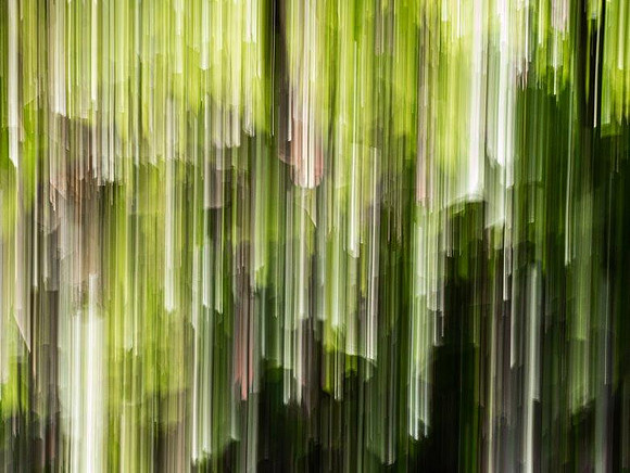 4lina-verticals_49766319283_o