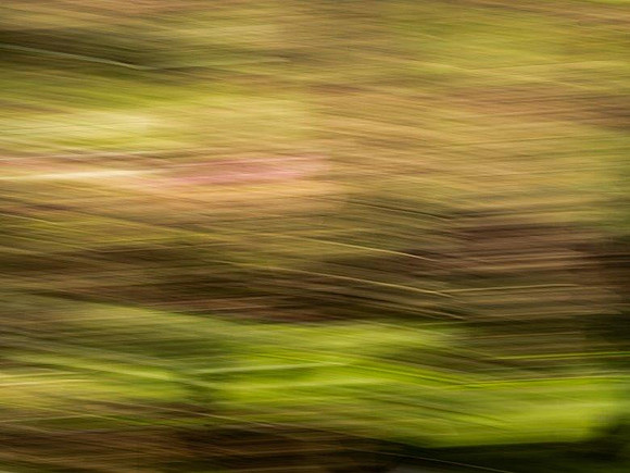 5lina-horizontals_49766319263_o
