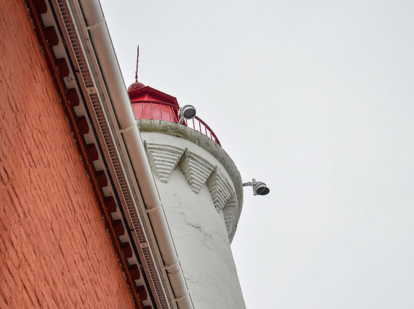 Linda McShane-Fisgard Looking Up