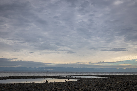 Iris Schurz- Williams Beach