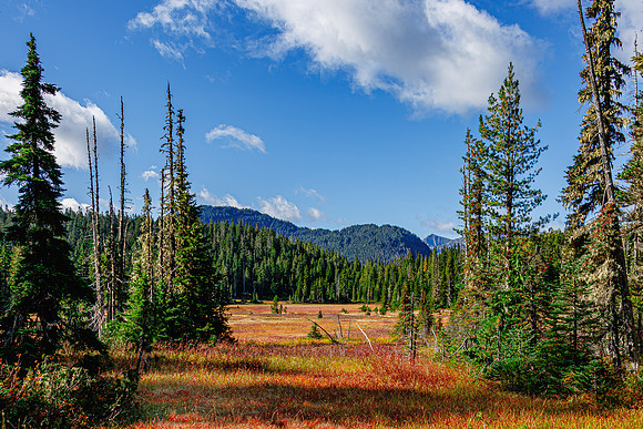 Jacques Boissonneault - Paradise Meadows 1