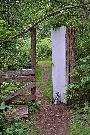RickGafuikJ2020uneForestPath2
