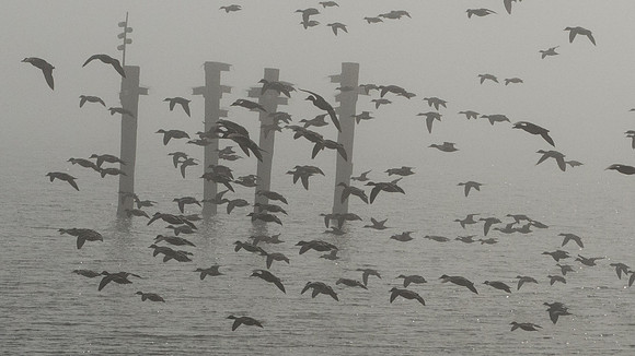 Tim Pope-Misty Piles-